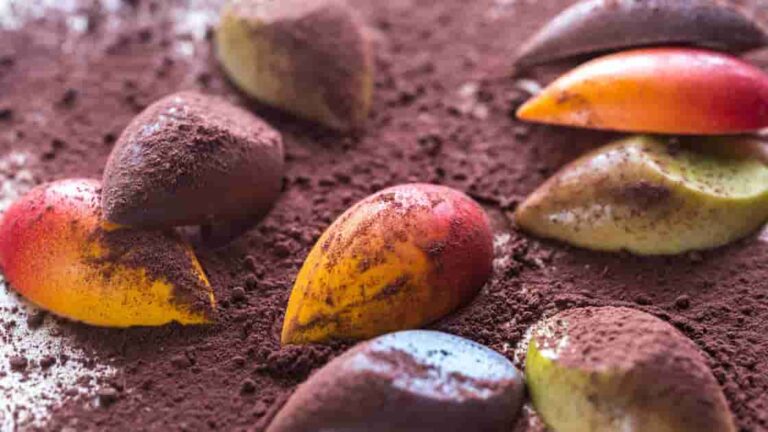 Chocolateria Artesanal: Fábrica Bean-to-Bar vs. Chocolateria Fina